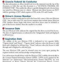 Licencia Federal de Conductor (Mexican CDL) 