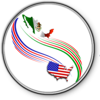 Mexican Licencia Federal - Requirements to obtain one