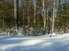 snownortheastjanuaryxmas-119