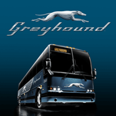 greyhound